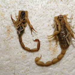 DSC_6291_copy_2022x1516